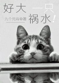 好大一只宁