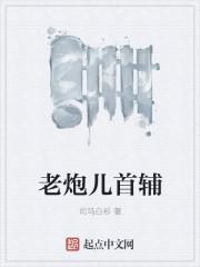 网剧 老炮儿