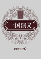 三国演义读后感100字