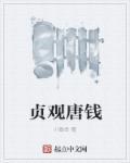 贞观唐钱女主角是谁