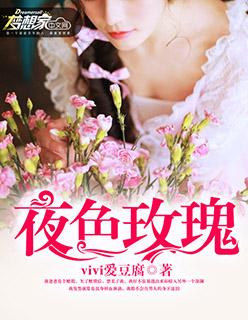 电视剧夜色玫瑰
