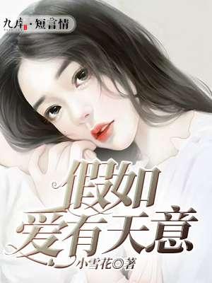 假如爱有天意歌词表达什么
