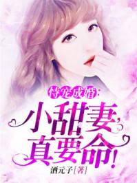 持宠而娇小甜妻真要命