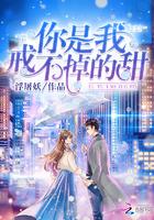 歌词你是我戒不掉的