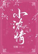 小浓情讲的什么内容
