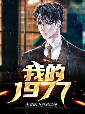我的1977免费完整版