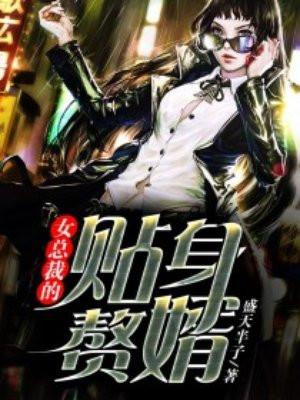 女总裁的贴身赘婿 聚合中文网