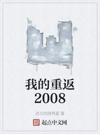 我的重返2008作者进击的咸鸭蛋