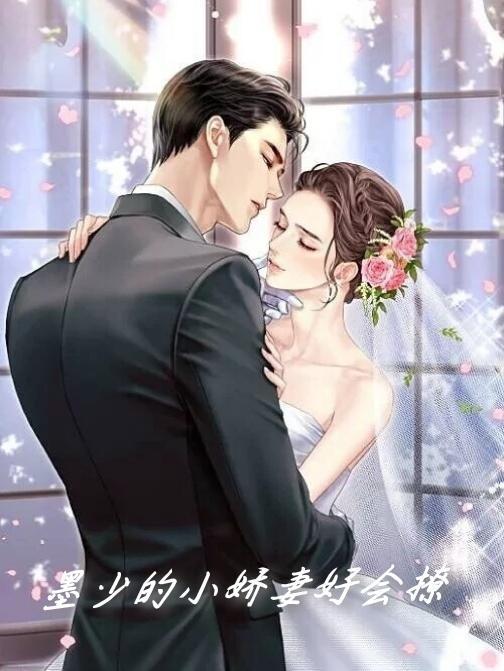 墨少轻宠小逃妻章节免费阅读全文