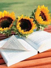 我的青春谁做主周晋郁欢