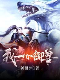 我一心御兽合集