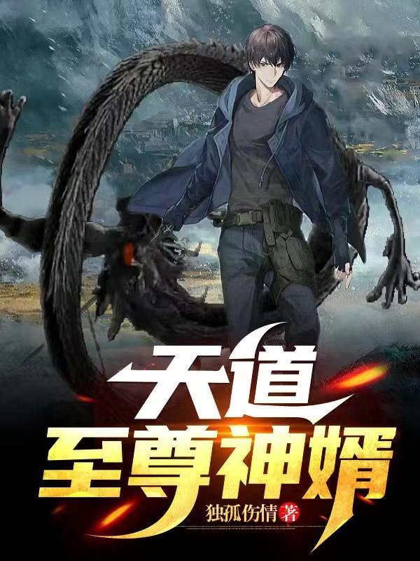 都市天道至尊
