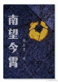 南望今宵(1v2)作者檀东意