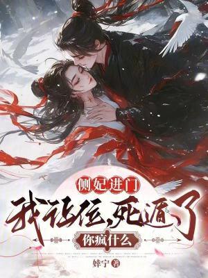 侧妃进门我让位