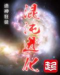 混沌进化优化算法是什么和什么组合