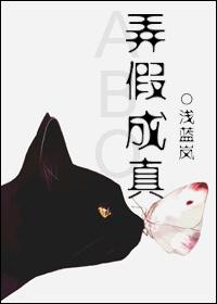 弄假成真话剧宣传语