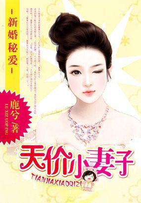 新婚秘爱:天价小妻子