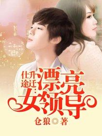 仕途升迁:漂亮女领导