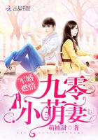 暖婚燃情:九零小萌妻
