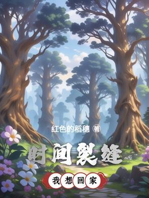 时间裂缝:我想回家