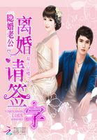 隐婚老公:离婚请签字